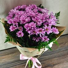 Букет цветов из:  Хризантемы #REPLACE_PRED# Кенже