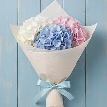 Букет цветов из:  Гортензия в Кенже