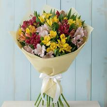 Букет цветов из:  Альстромерии в Кенже