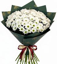 Букет цветов из:  Хризантемы #REPLACE_PRED# Кенже