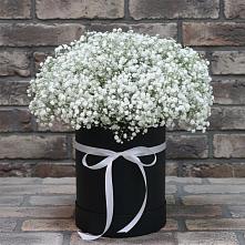 Цветочная композиция из Гипсофила в шляпной коробке в Кенже