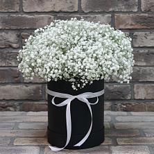 Цветочная композиция из Гипсофила в шляпной коробке в Кенже