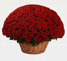 Премиум букет из: Розы в Кенже