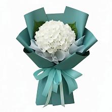 Букет цветов из:  Гортензия #REPLACE_PRED# Кенже